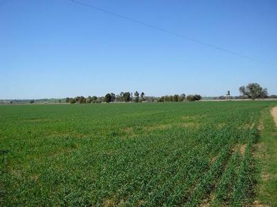 Real Value - Real Production - Real Opportunity Picture