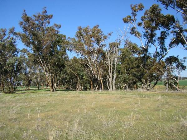 Real Value - Real Production - Real Opportunity Picture 3