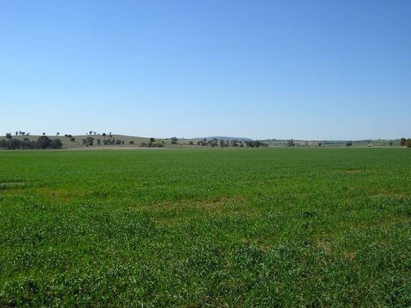 Real Value - Real Production - Real Opportunity Picture 2