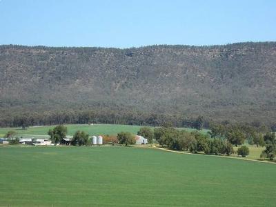 Talk About the Best of Both Worlds..... Picture