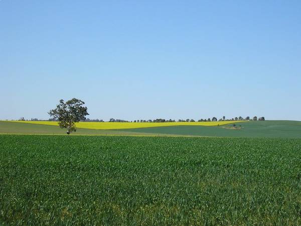 Talk About the Best of Both Worlds..... Picture 3