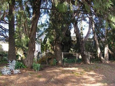 The Secret Garden...... Picture The Secret Garden...... Picture