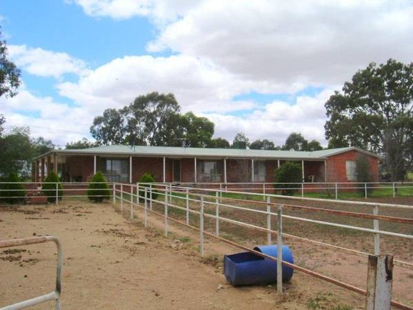 Trotters Delight or Developers Special Picture 2