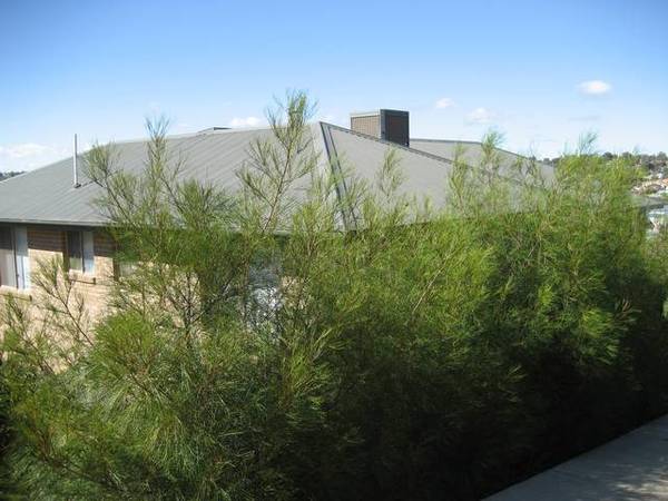 Truly Special - Views Across Town
-
Built 6 years Picture 1