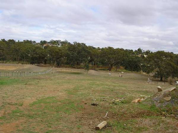 Urban Living Picture 2