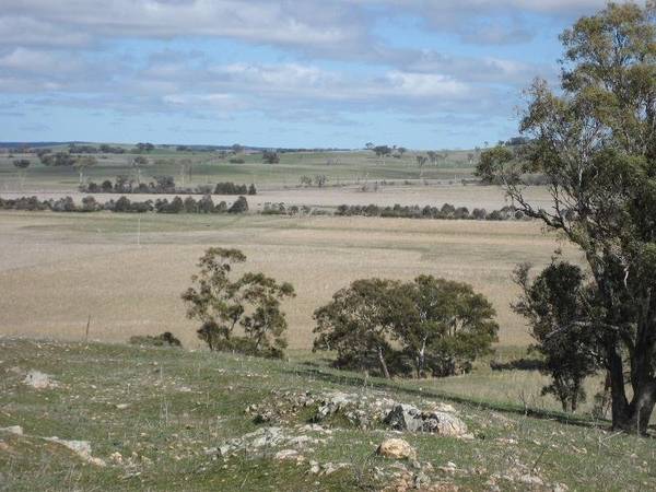 Wall to Wall Pasture-Subdivision Potential-Desirable Location Picture 2