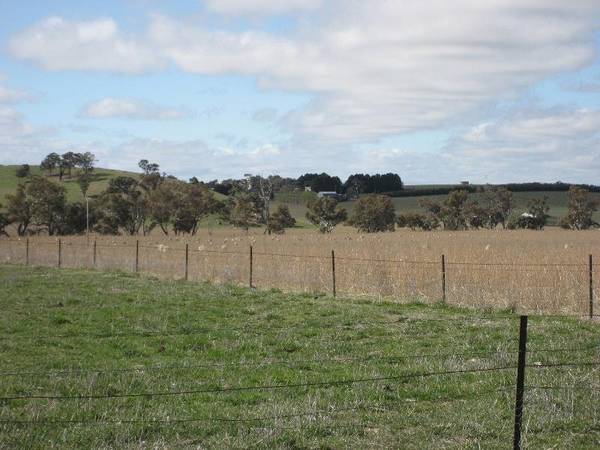 Wall to Wall Pasture-Subdivision Potential-Desirable Location Picture 3