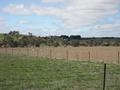 Wall to Wall Pasture-Subdivision Potential-Desirable Location Picture
