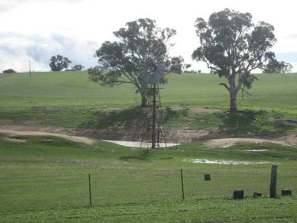 Warranoy 1659ha - 4100 ac Picture 3