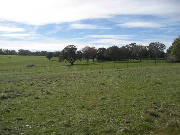 Warranoy 1659ha - 4100 ac Picture 2