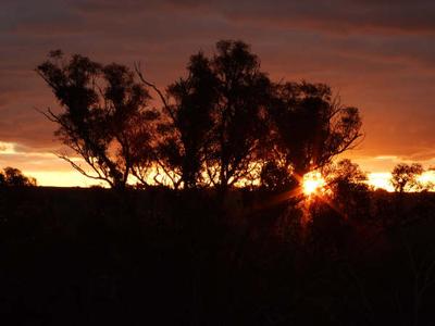 Watch the Sun Set Picture