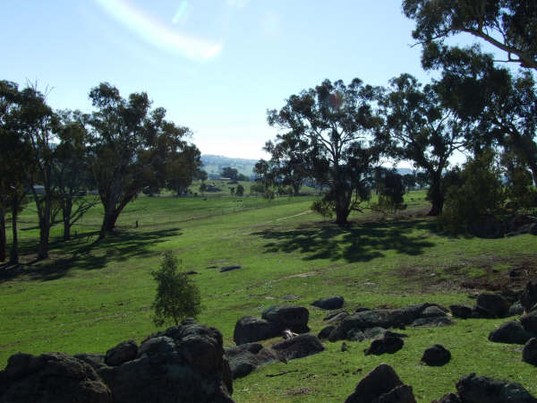 Watch the Sun Set Picture 3