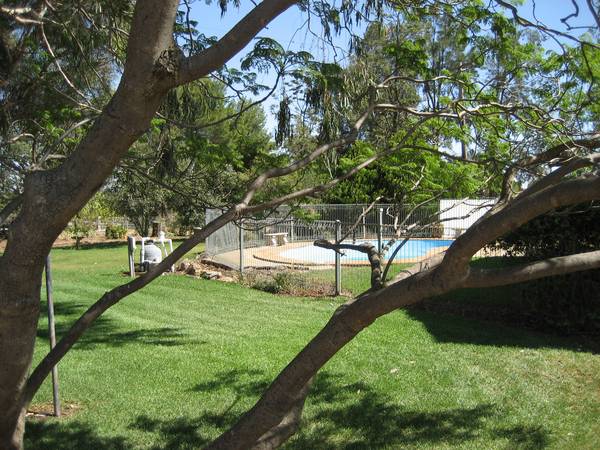 Young District Lifestyle Orchard Picture 3