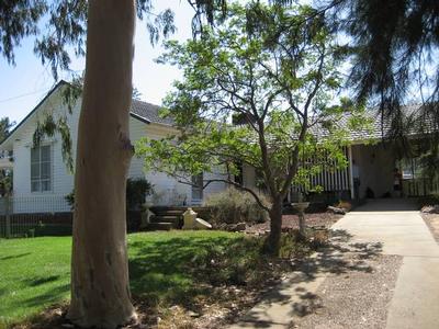 Young District Lifestyle Orchard Picture