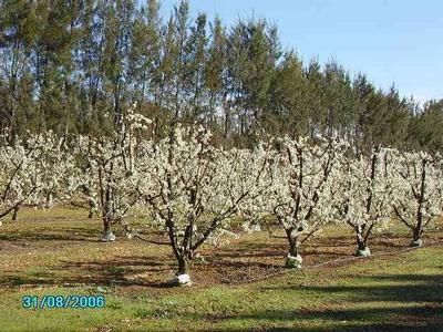 Young Lifestyle Farmlet - WIWO Picture