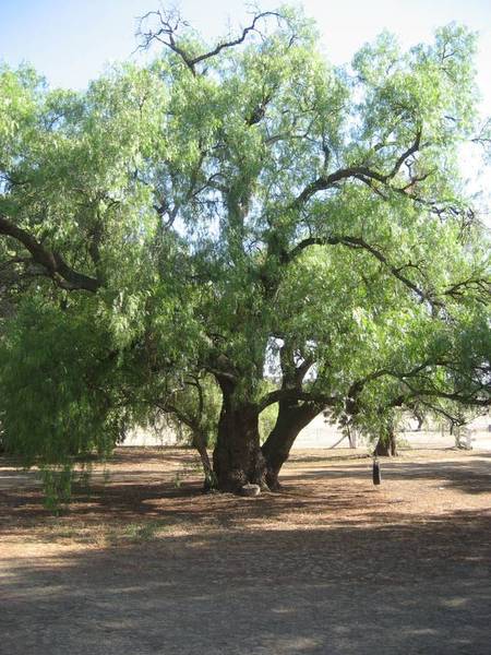 Your New Lifestyle Picture 2