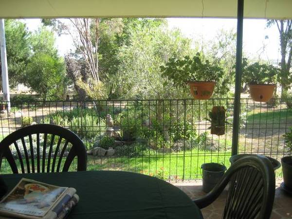 Your New Lifestyle Picture 1