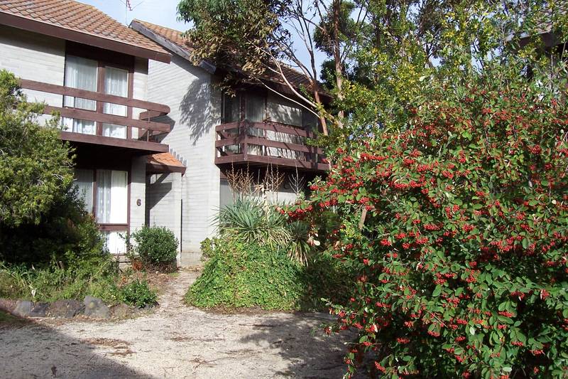 AVAILABLE 18/1/10 Picture 1