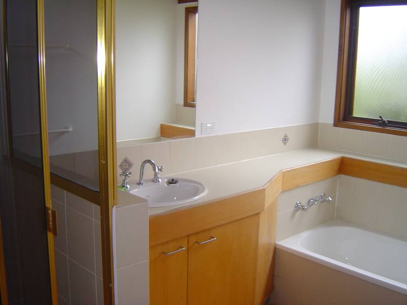 AVAILABLE - 19th December Picture 3