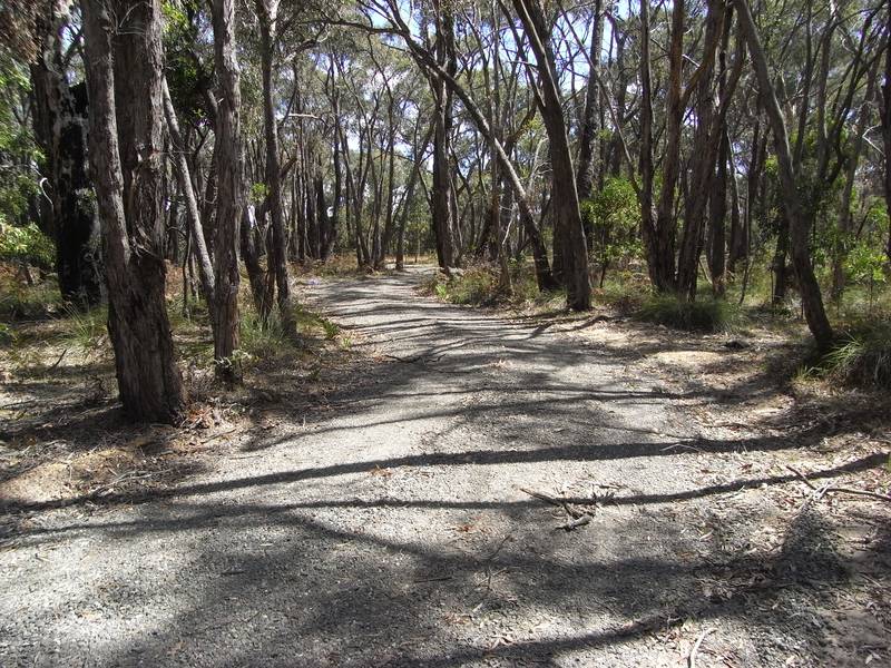 SURF COAST ACRES UNDER $300,000 Picture 3