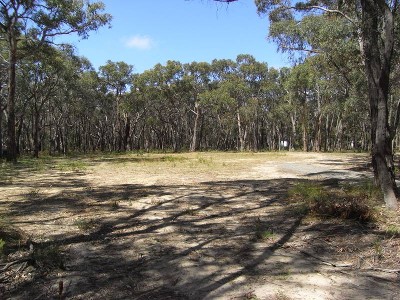 SURF COAST ACRES UNDER $300,000 Picture SURF COAST ACRES UNDER $300,000 Picture