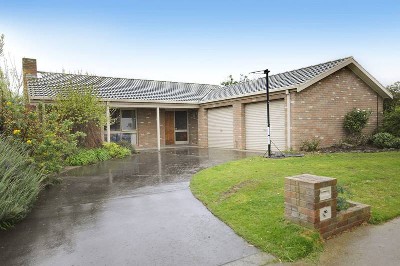 Everything Is Big - Except The Price Picture