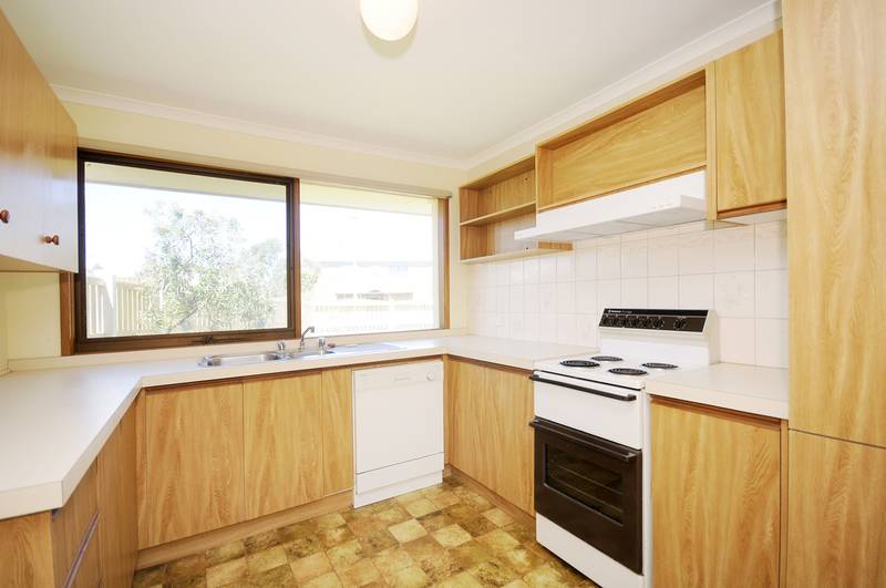 SEA FOR YOURSELF Picture 3