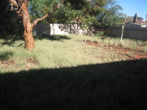 A LITTLE TLC & PROSPER!! Picture 2