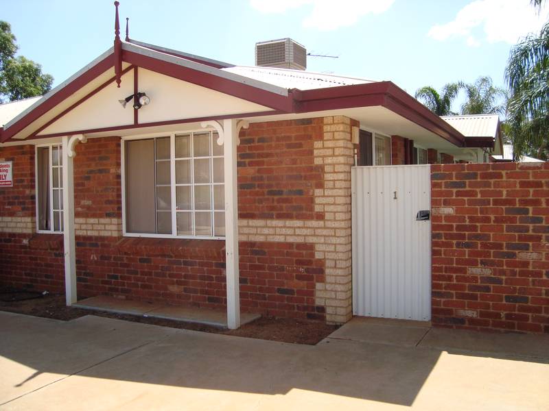 PERFECT STARTER Picture 2