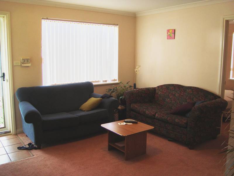 PERFECT STARTER Picture 3