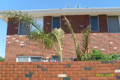REDUCED TO $290.00 p/w Central Kalgoorlie Picture