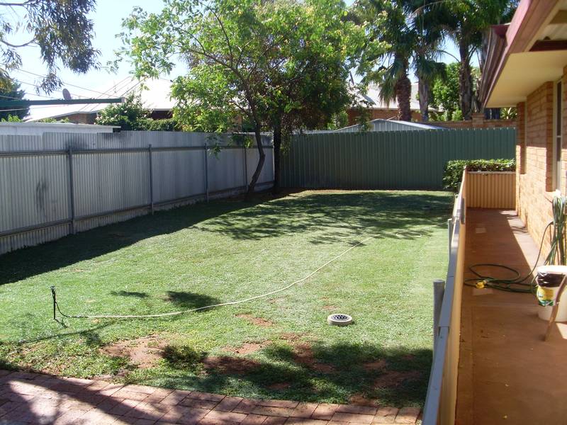 What a price! WOW! Picture 2