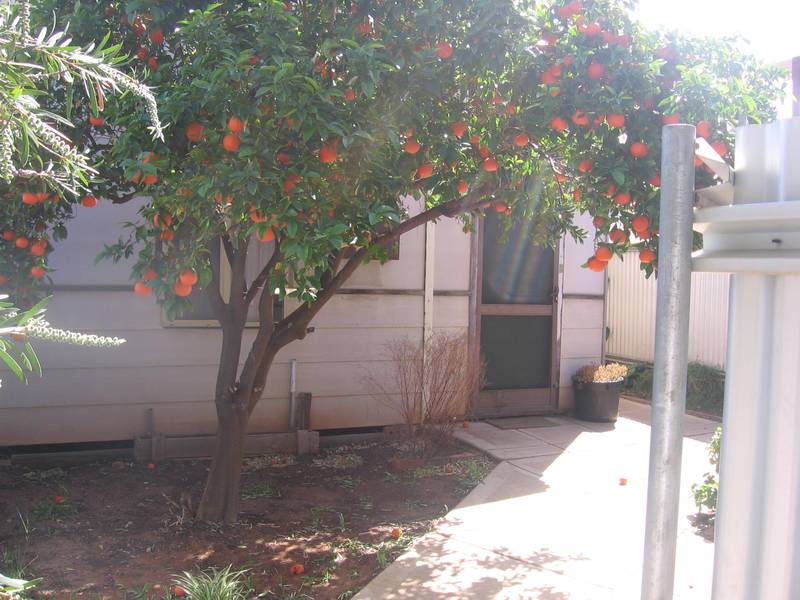 GREAT LOCATION Picture 1