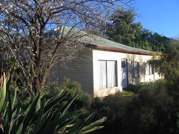 Developers Dream Picture 3