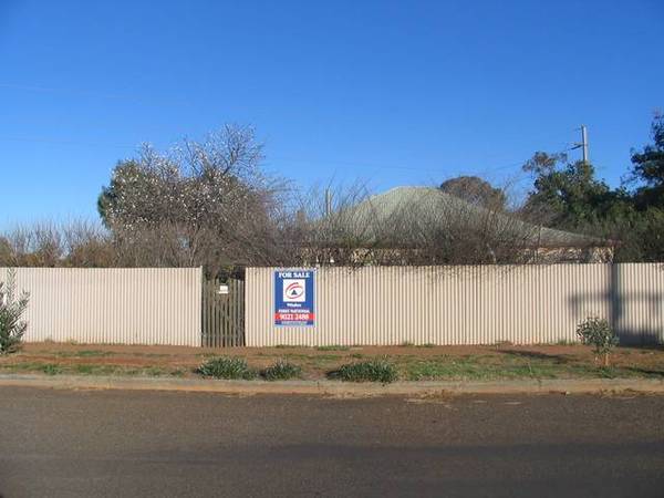 Developers Dream Picture 2