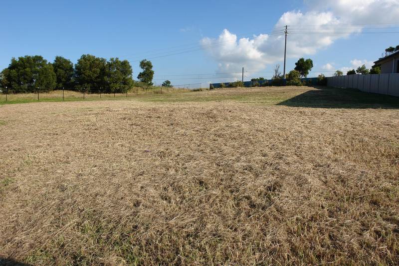 Turn Your Dream Into A Reality! Picture 1