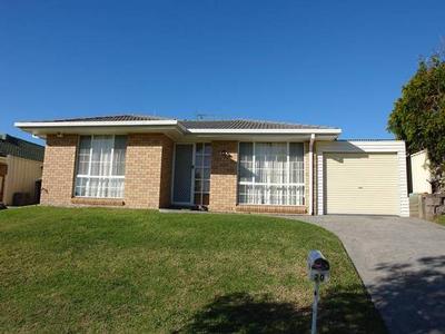 Perfect Starter! Picture