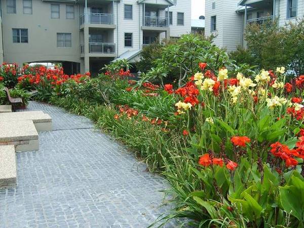 Modern and Stylish Living- Fully Furnished Picture 2