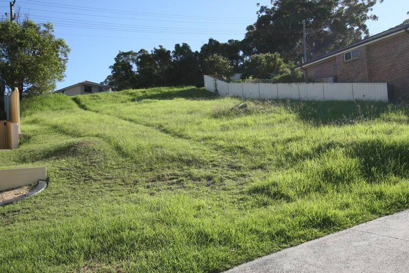 17 Penrose Street, Blackbutt Picture 2