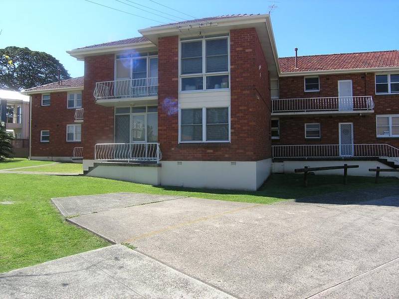 A Great Starter Picture 1