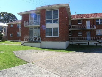 A Great Starter Picture A Great Starter Picture