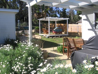 Next To The Beach Picture Next To The Beach Picture