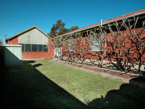 Holy Shed! Picture 3