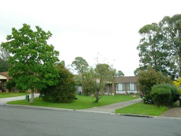 Be A Landlord! Picture 2