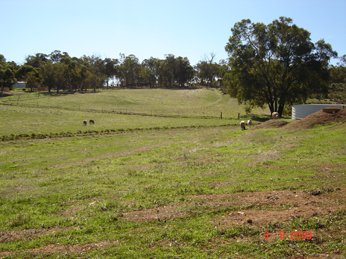 RURAL RETREAT PRICED TO SELL!!! Picture 2