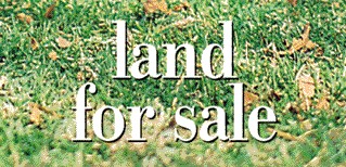 NEW TO MARKET Picture 1