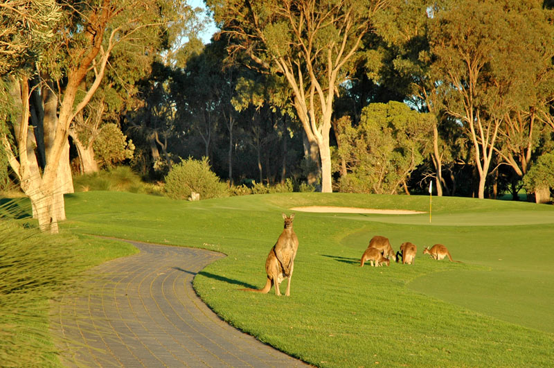 JUST LISTED! Picture 3