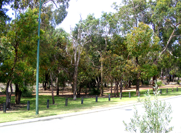 HUGE! HUGE! HUGE! Picture 3