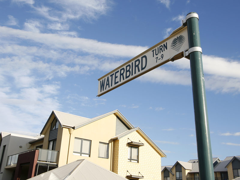 ~ SERENE SURROUNDS ~ Picture 2