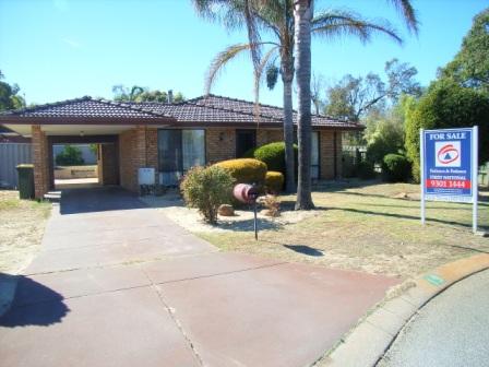 WHAT A WHOPPER! Picture 1